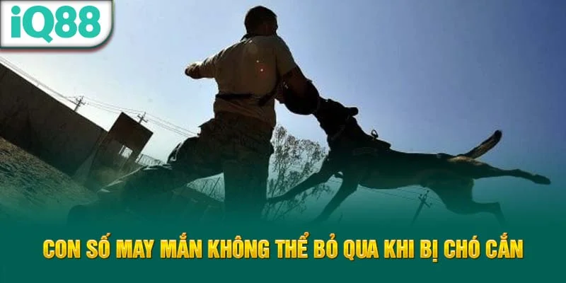 con-so-may-man-khong-the-bo-qua-khi-bi-cho-can-