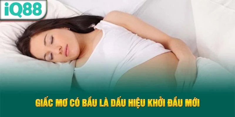 giac-mo-co-bau-la-dau-hieu-khoi-dau-moi