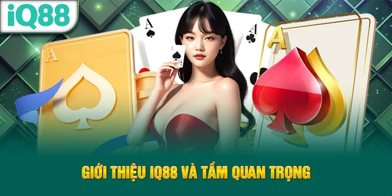gioi-thieu-iq88-va-tam-quan-trong