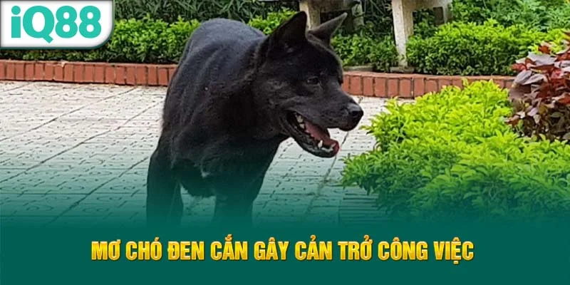 mo-cho-den-can-gay-can-tro-cong-viec-