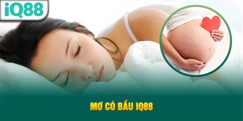 mo-co-bau-iq88