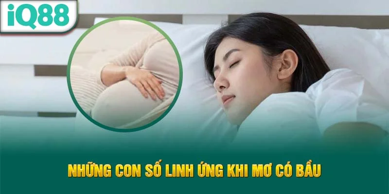 nhung-con-so-linh-ung-khi-mo-co-bau