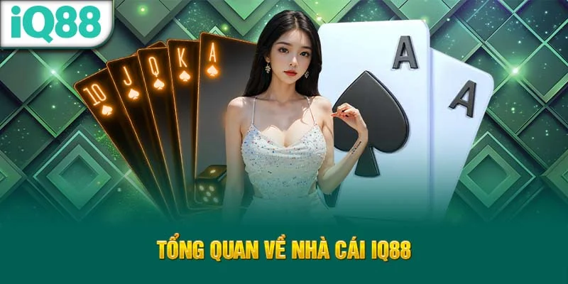 tong-quan-ve-nha-cai-iq88